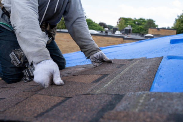 Best Roof Waterproofing Services  in Wood Ridge, NJ